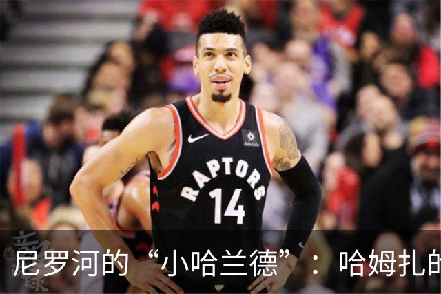 尼罗河的“小哈兰德”：哈姆扎的成长故事